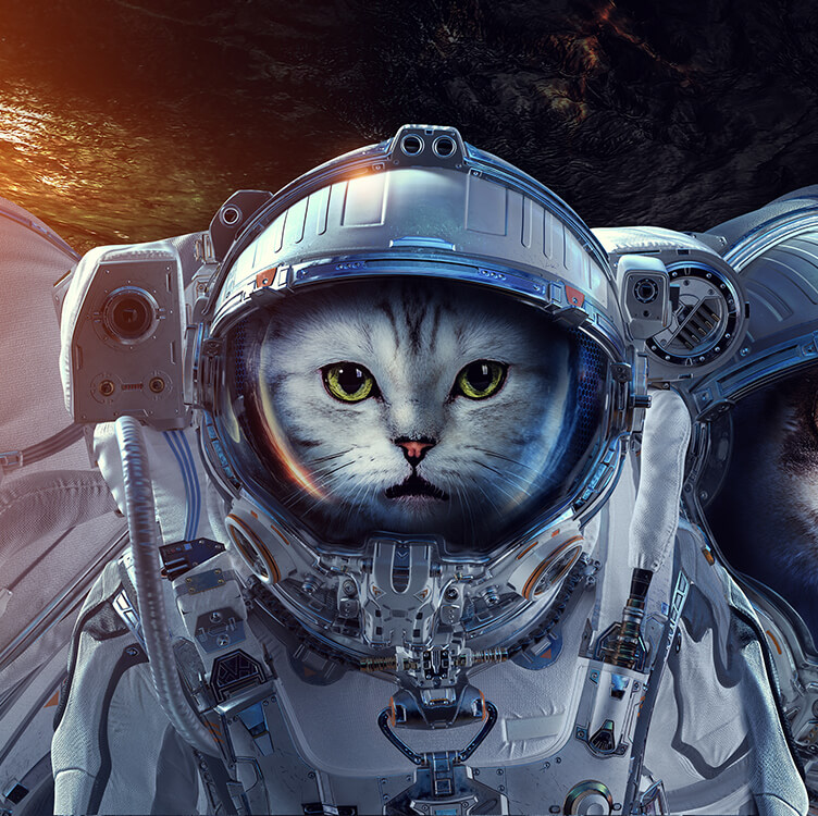 Créez des photomontages impressionnants